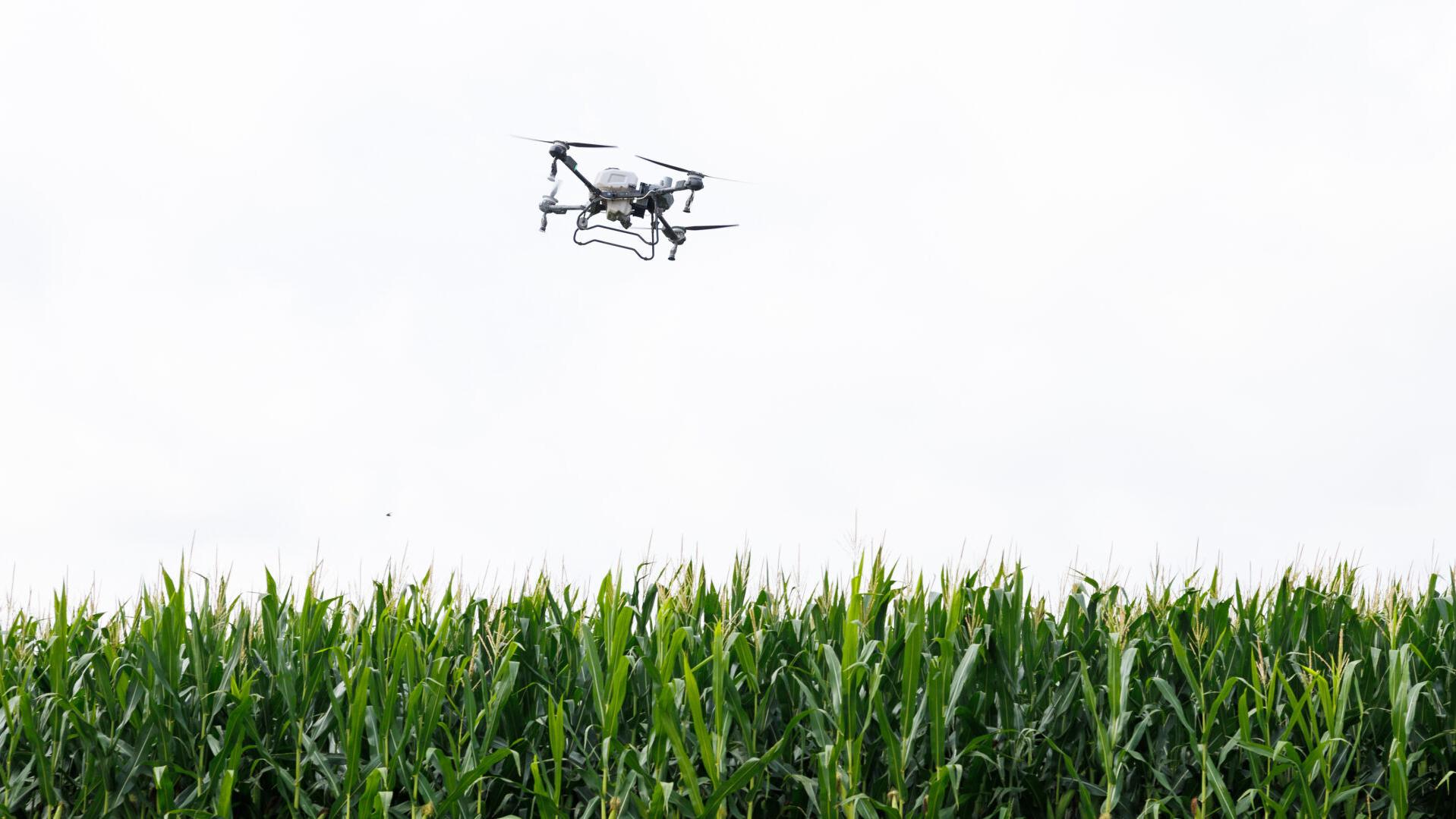 'Corn sweat' contributing to dangerous heat warning for Omaha and eastern Nebraska